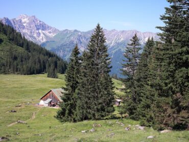 Dlaczego wynajem pokoju w Beskidach to idealny pomysł na aktywny urlop?